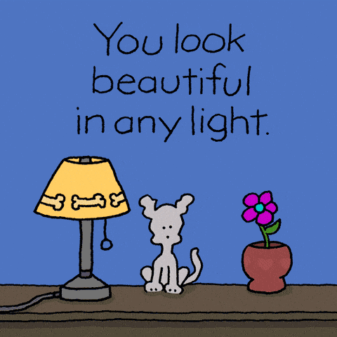 Image credit: Giphy | Chippy the Dog