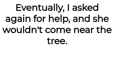 Image credit: throwawaychristmas31 | throwawaychristmas31