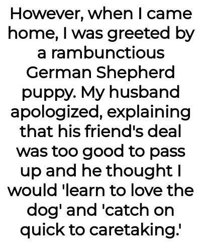 Image credit: puppyproblem129261 | puppyproblem129261