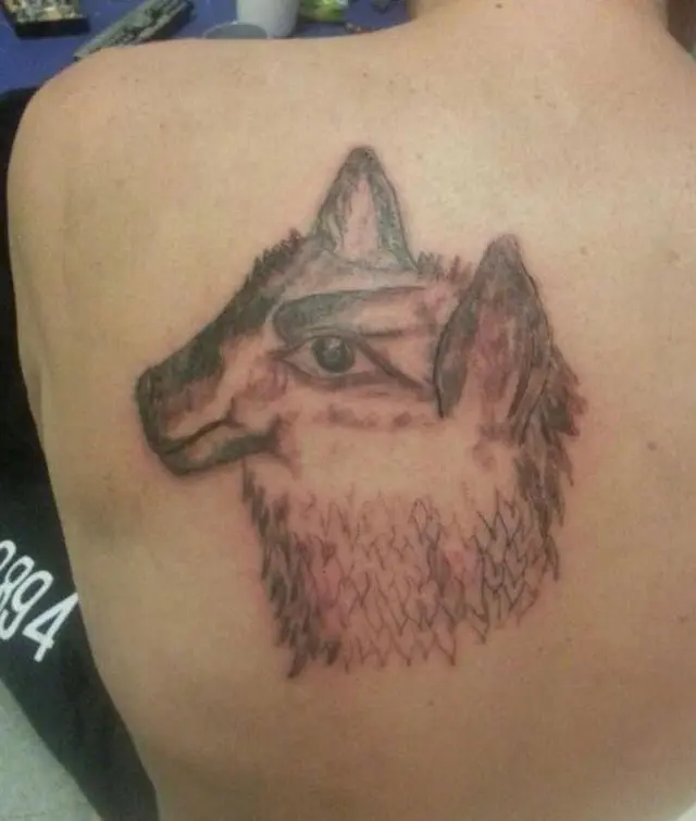 Image credit: Reddit | pikachuuuuu