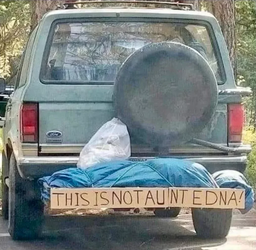 Image credit: Reddit | lifewithjbc