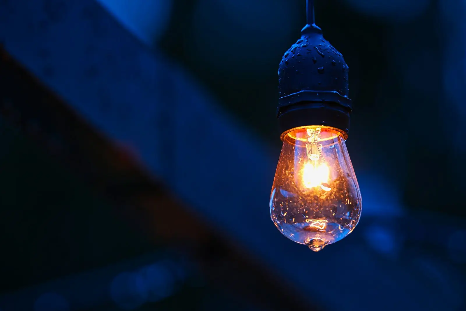 Image credit: Unsplash | Thomas M. Evans