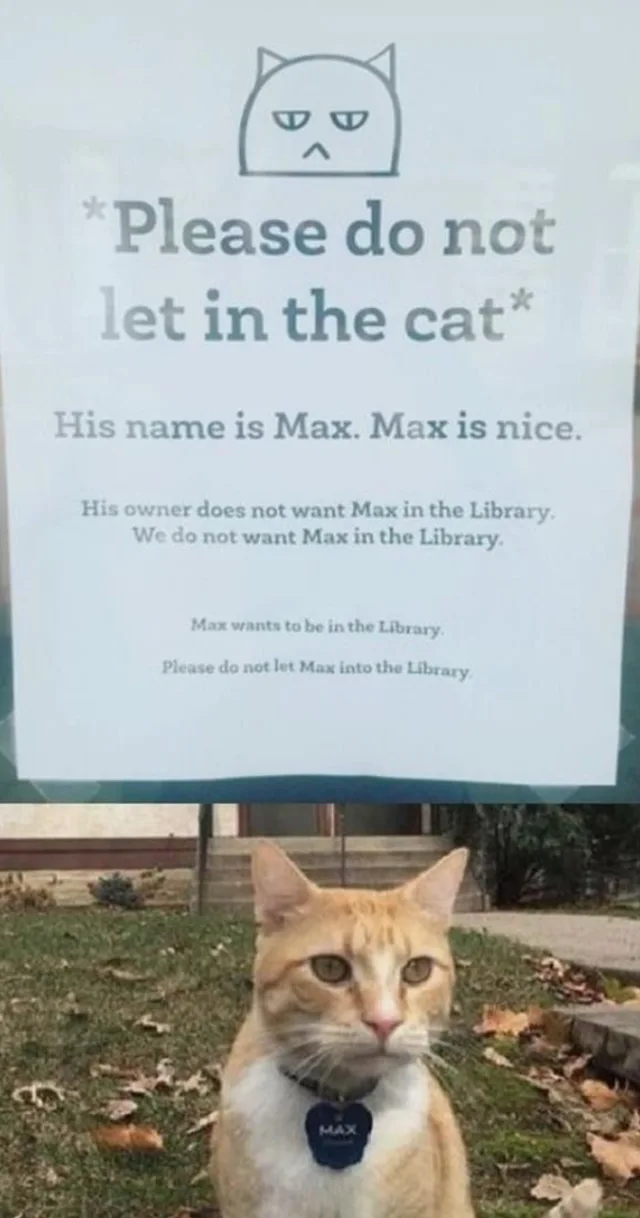 Image credit: Reddit | ssetgxs