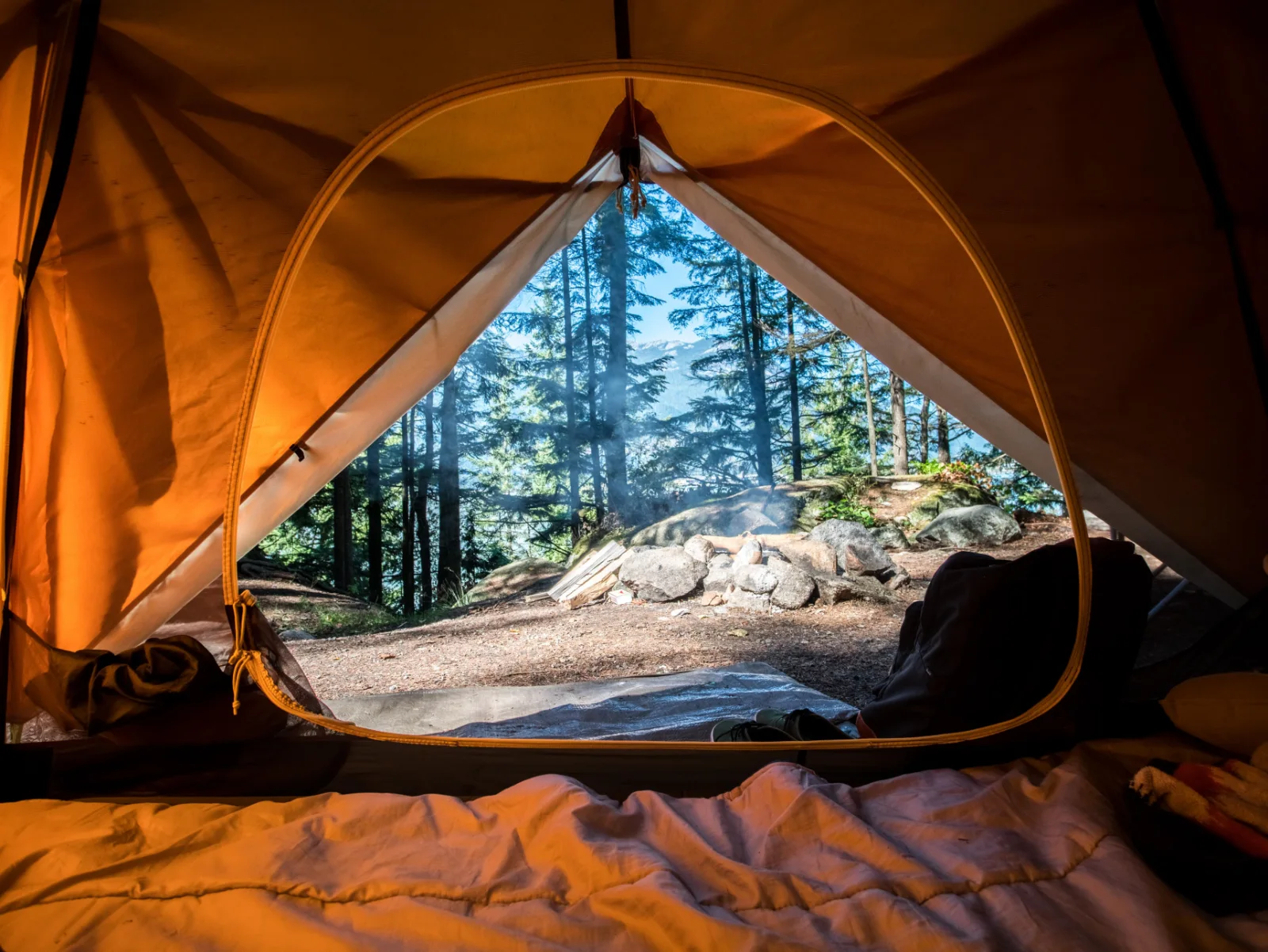 Image credit: Unsplash | Scott Goodwill