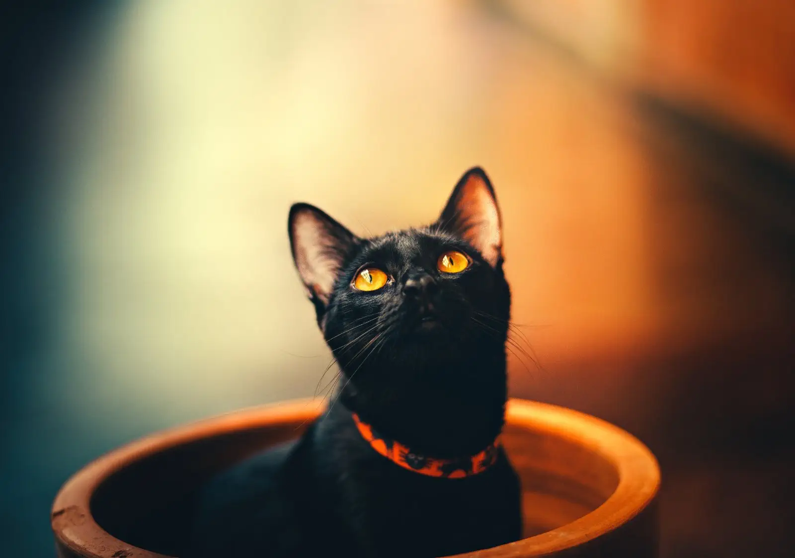 Image credit: Unsplash | Helena Lopes