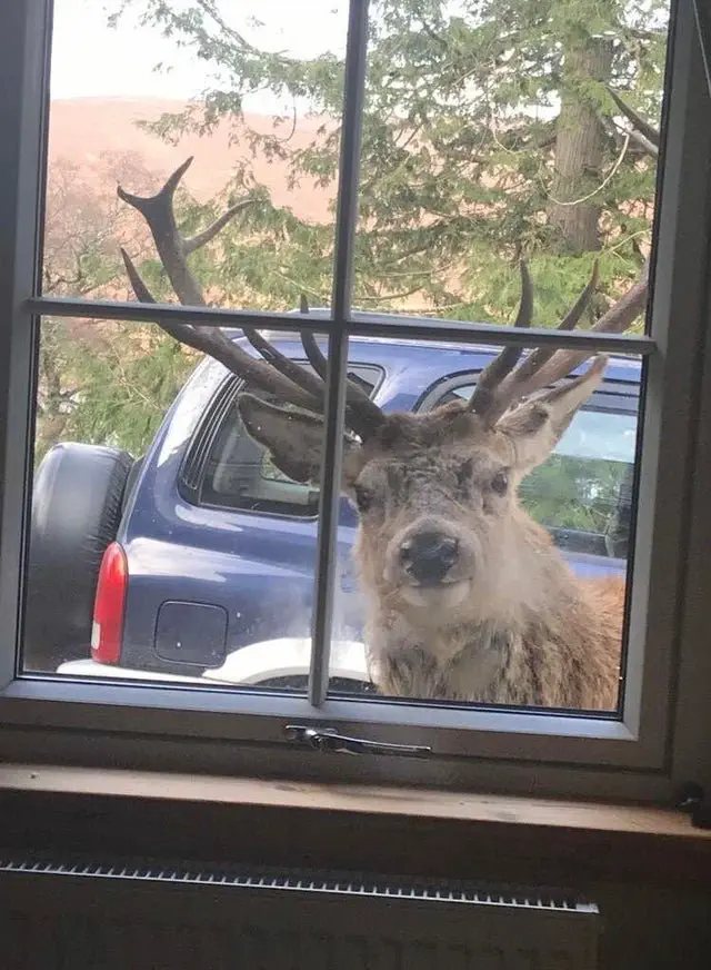 Image credit: Reddit | SirSteve
