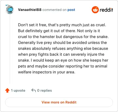 Image credit: Vanaathiel88 | Vanaathiel88