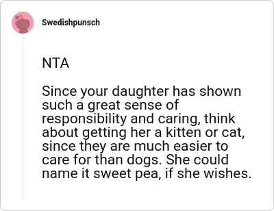 Image credit: Swedishpunsch | Swedishpunsch