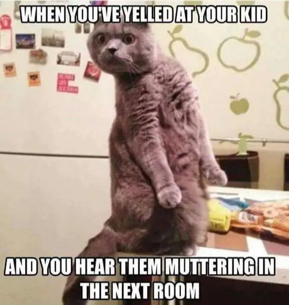 Image credit: Imgur | unknown