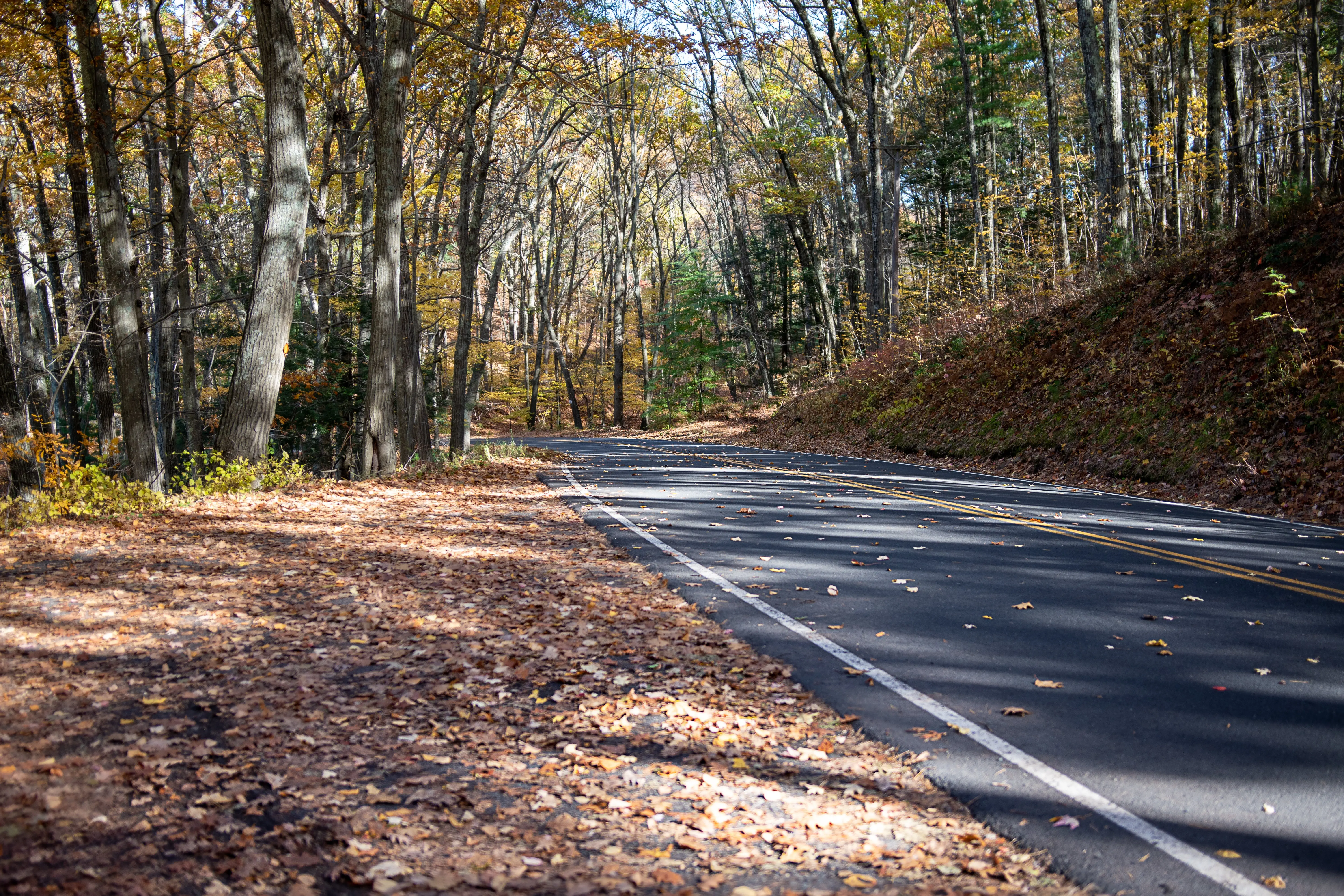 Image credit: Unsplash | Rusty Watson