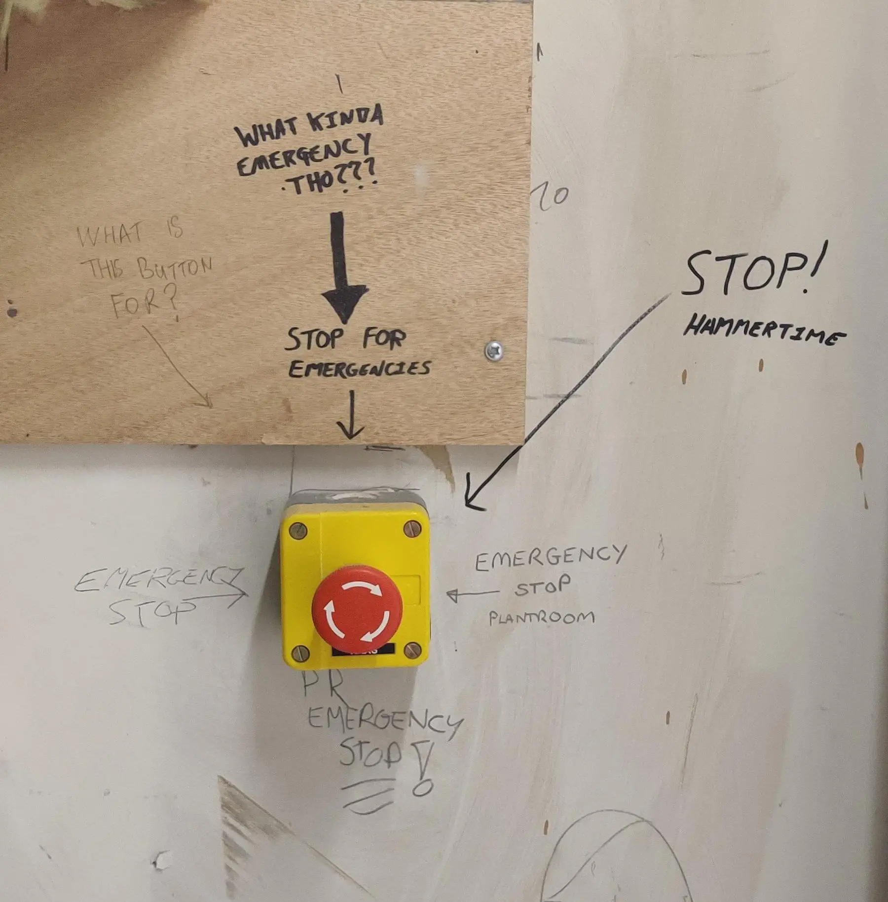 Image credit: Reddit | rolfeadog