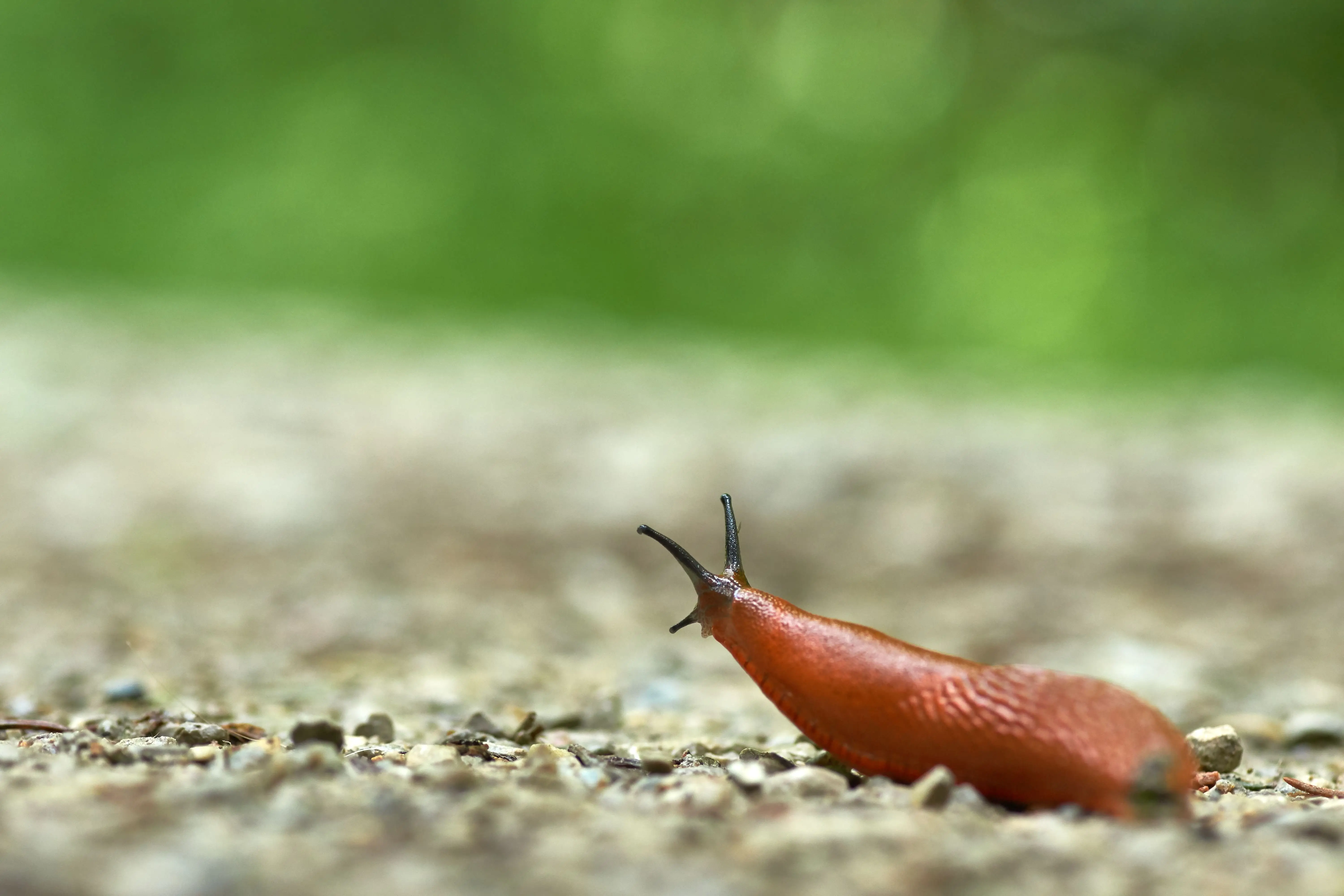 Image credit: Unsplash | Wolfgang Hasselmann