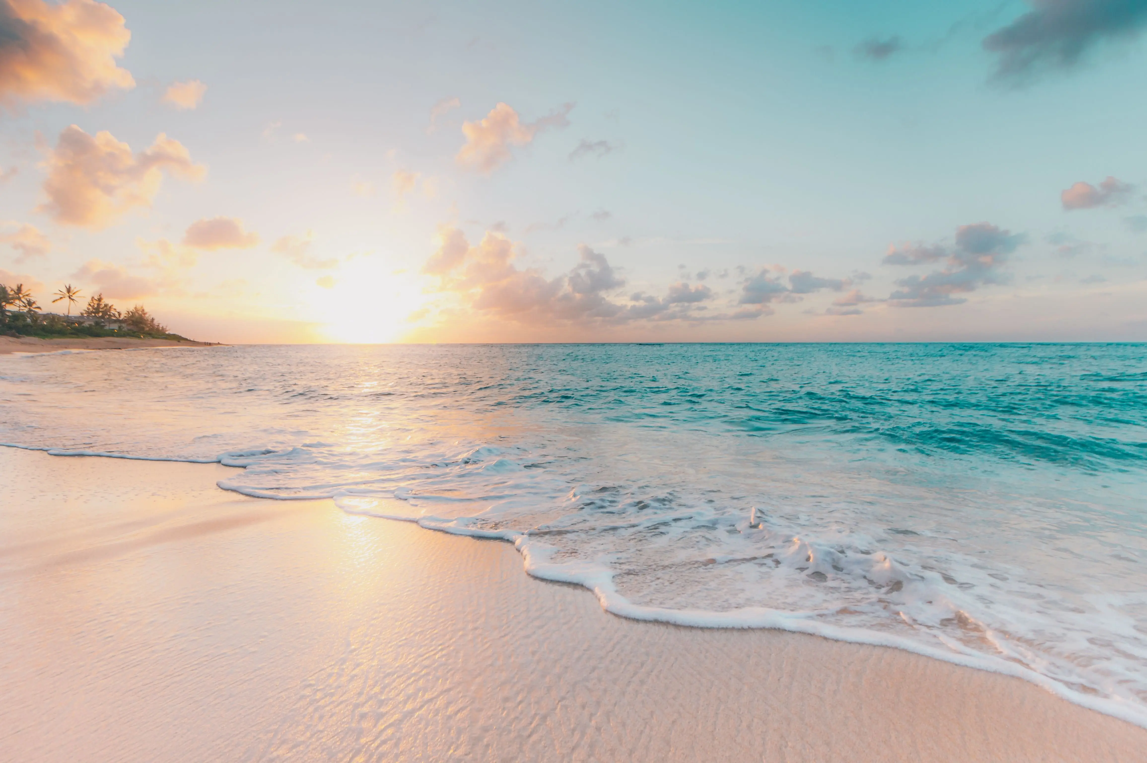 Image credit: Unsplash | Sean Oulashin