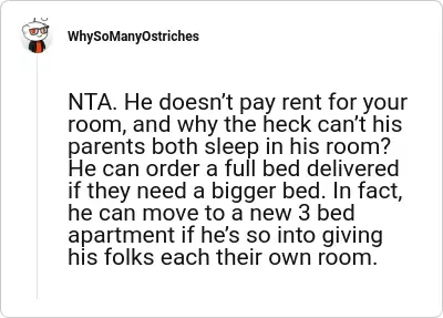 Image credit: WhySoManyOstriches | WhySoManyOstriches