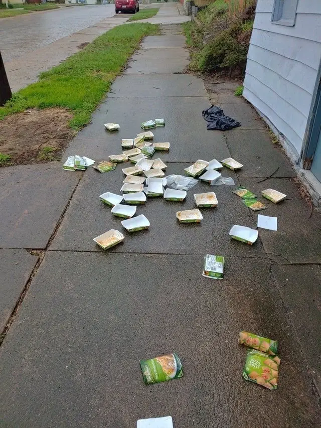Image credit: reddit | Twig_Scampi