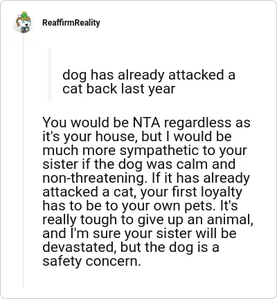 Image credit: ReaffirmReality | ReaffirmReality