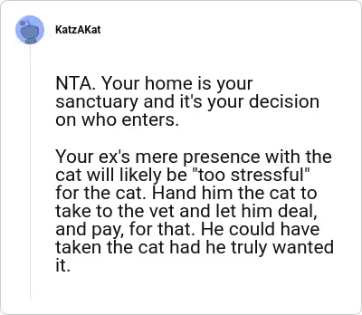 Image credit: KatzAKat | KatzAKat