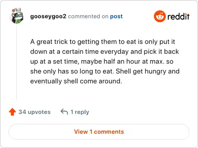 Image credit: gooseygoo2 | gooseygoo2