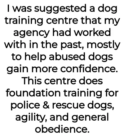 Image credit: throwaway_dogtrain | throwaway_dogtrain