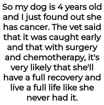 Image credit: gooddogbadbf | gooddogbadbf