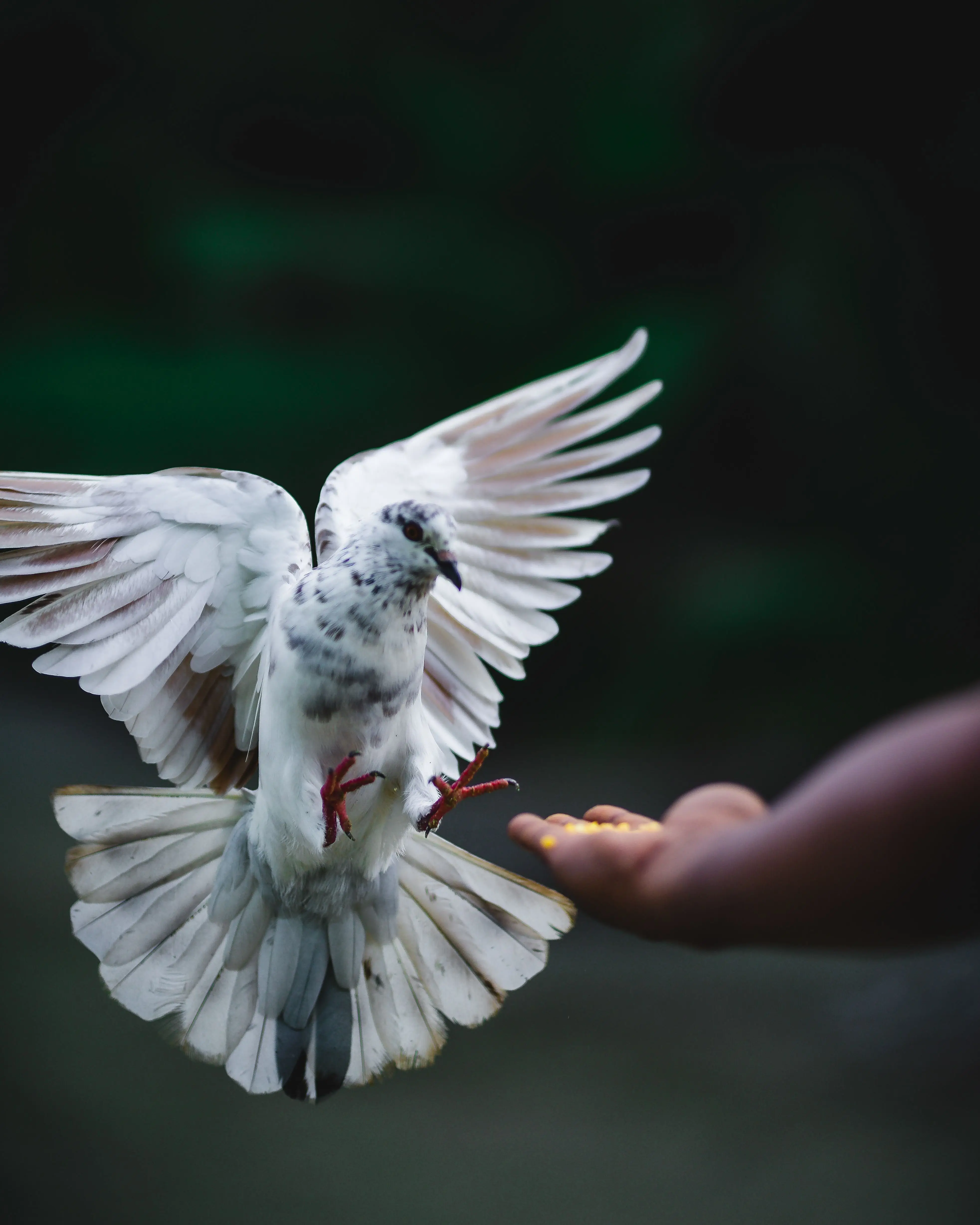 Image credit: Unsplash | Javardh