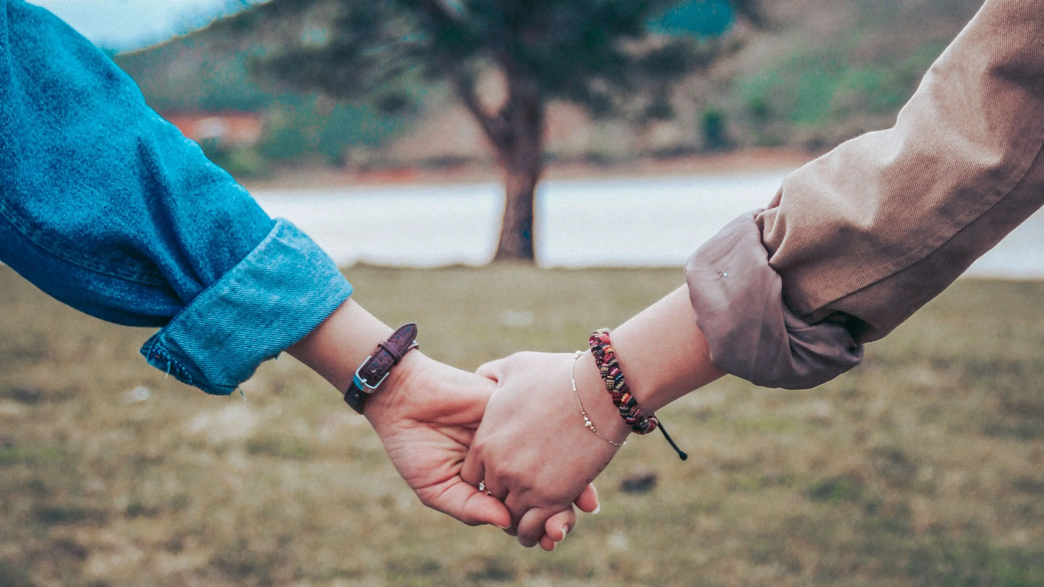 Image credit: Unsplash | Dương Hữu