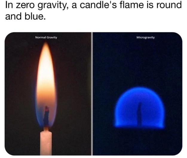 Image credit: Reddit | ThadrikaTonkas