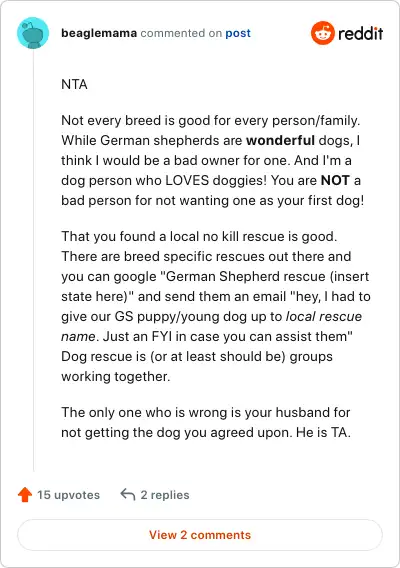 Image credit: beaglemama | beaglemama