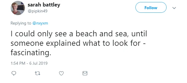 Image credit: Twitter | @pipkin49