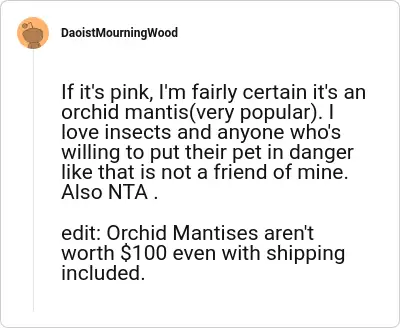 Image credit: DaoistMourningWood | DaoistMourningWood