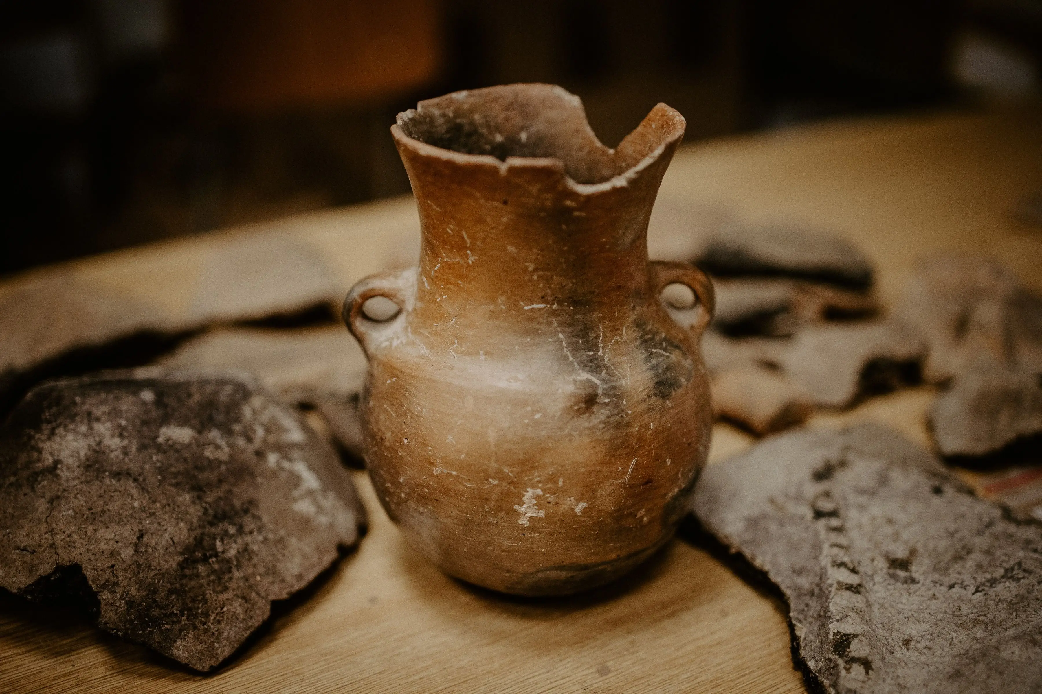 Image credit: Unsplash | Trnava University