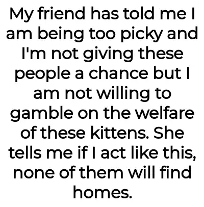 Image credit: catladyaita | catladyaita