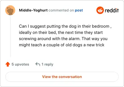 Image credit: Middle-Yoghurt | Middle-Yoghurt