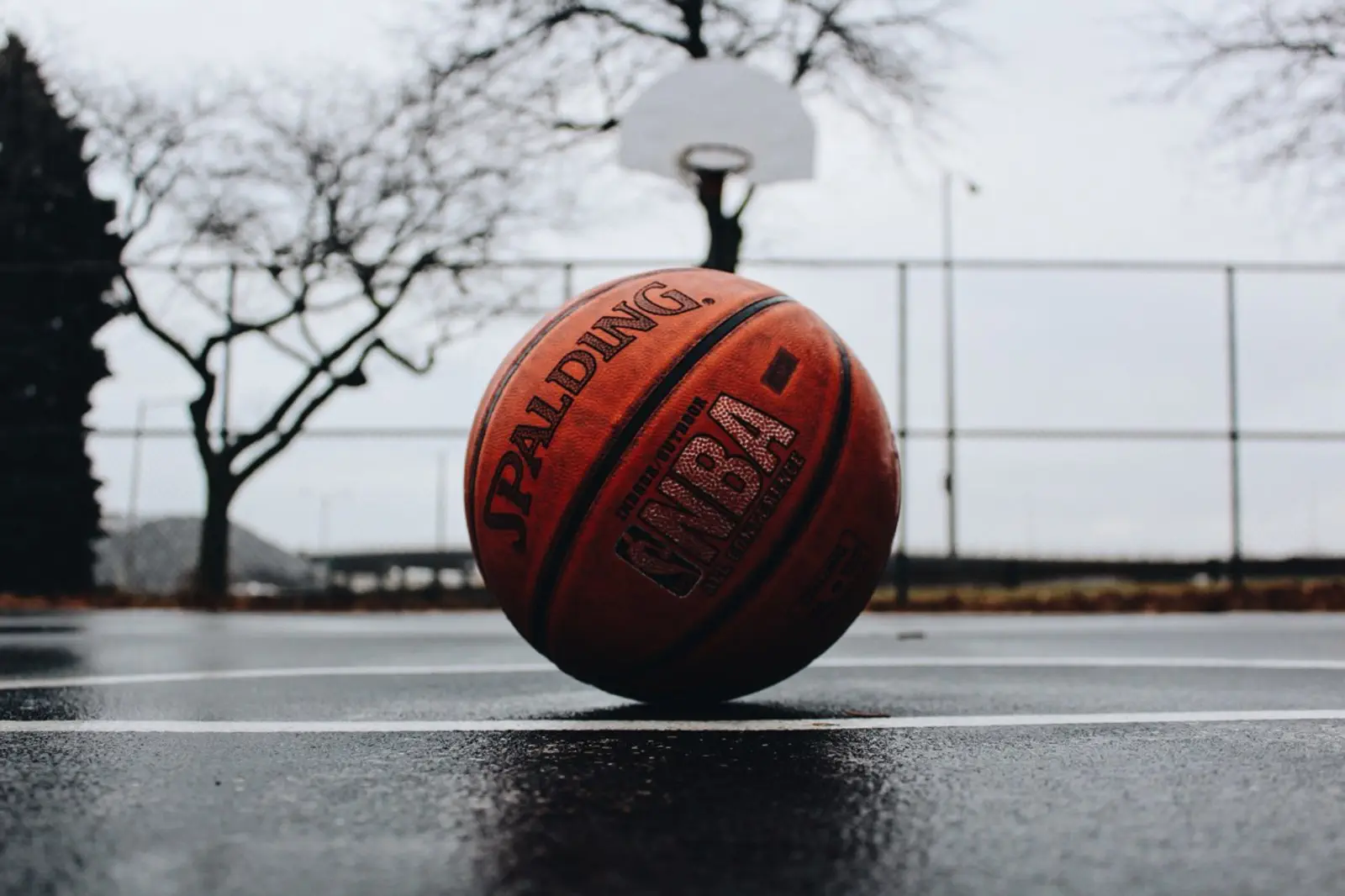 Image credit: Unsplash | TJ Dragotta
