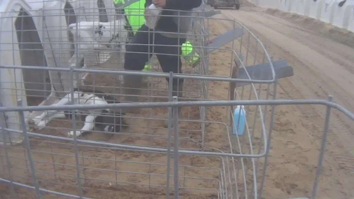 Image credit: YouTube | ARM Investigations
