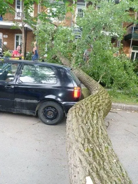 Image credit: Reddit | dralios