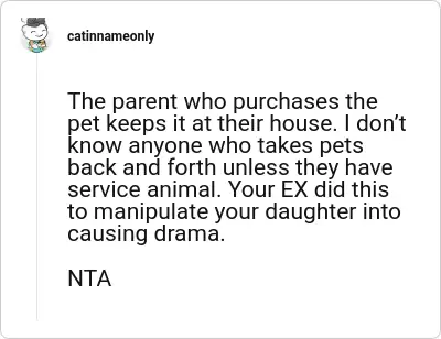 Image credit: catinnameonly | catinnameonly