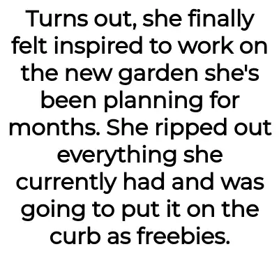 Image credit: noreferenceforyou | noreferenceforyou