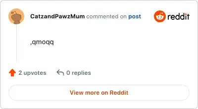 Image credit: CatzandPawzMum | CatzandPawzMum