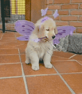 Image credit: Giphy