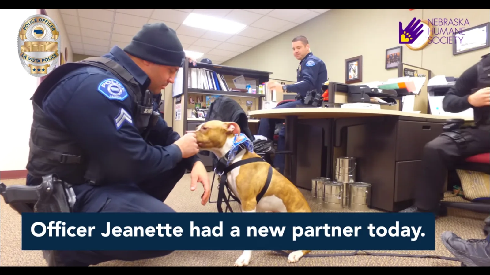 Image credit: YouTube | citylavista