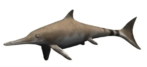 Image credit: https://diplycom5cc47.zapwp.com/q:i/r:0/wp:1/w:1/u:https://commons.wikimedia.org/wiki/File:Ichthyosaurus_BW.jpg