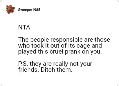 Image credit: Sweeper1985 | Sweeper1985
