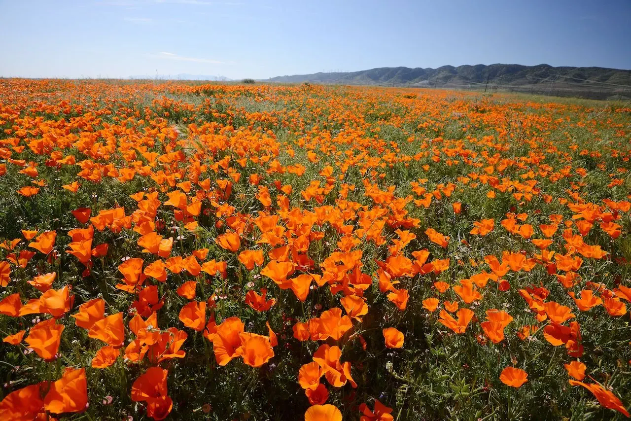 Image credit: Shutterstock