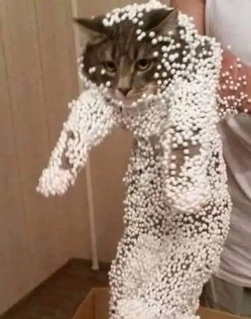 Image credit: Reddit | beccilouise96
