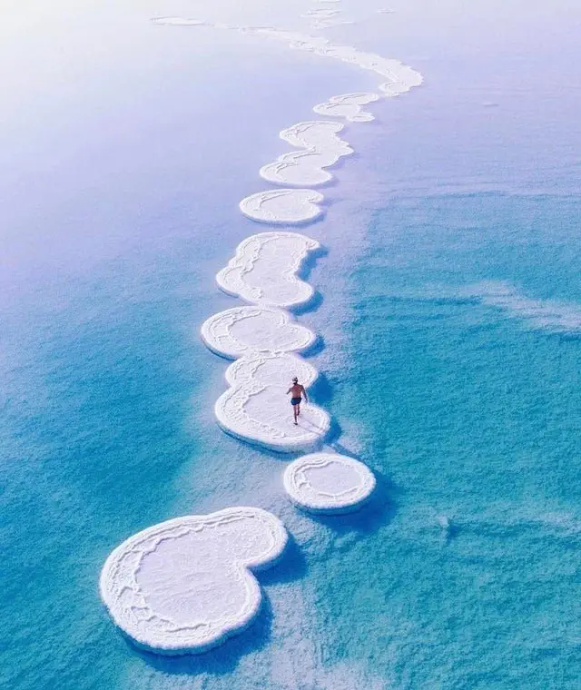 Image credit: Reddit | Porodicnostablo