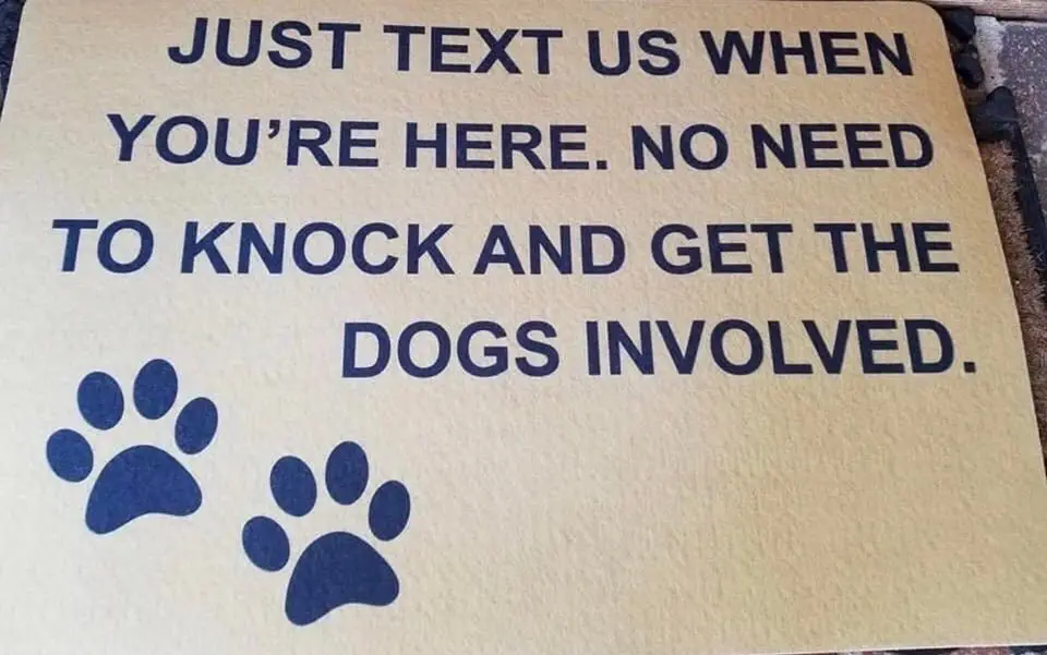Image credit: Reddit | Aly_onthebeat