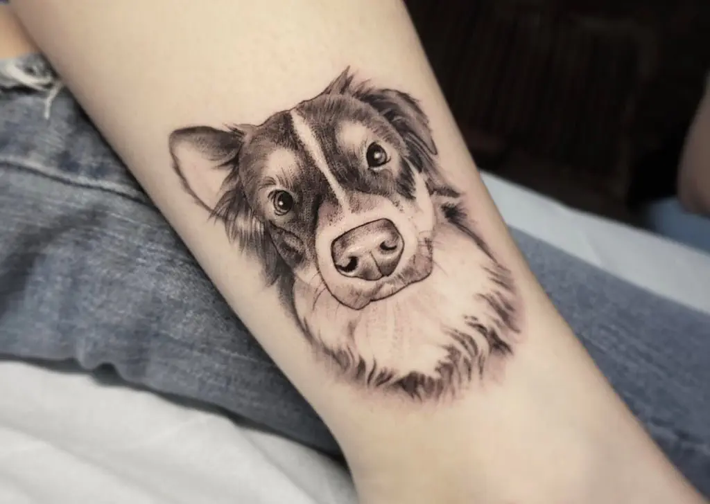 Image credit: Reddit | u/lolidkimjustakitten