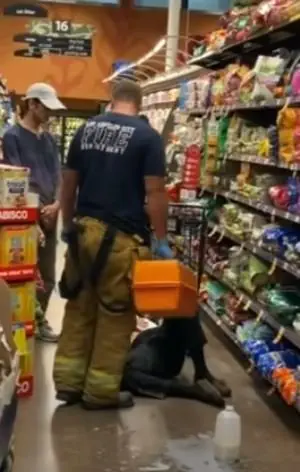 Image credit: YouTube | CBS Los Angeles