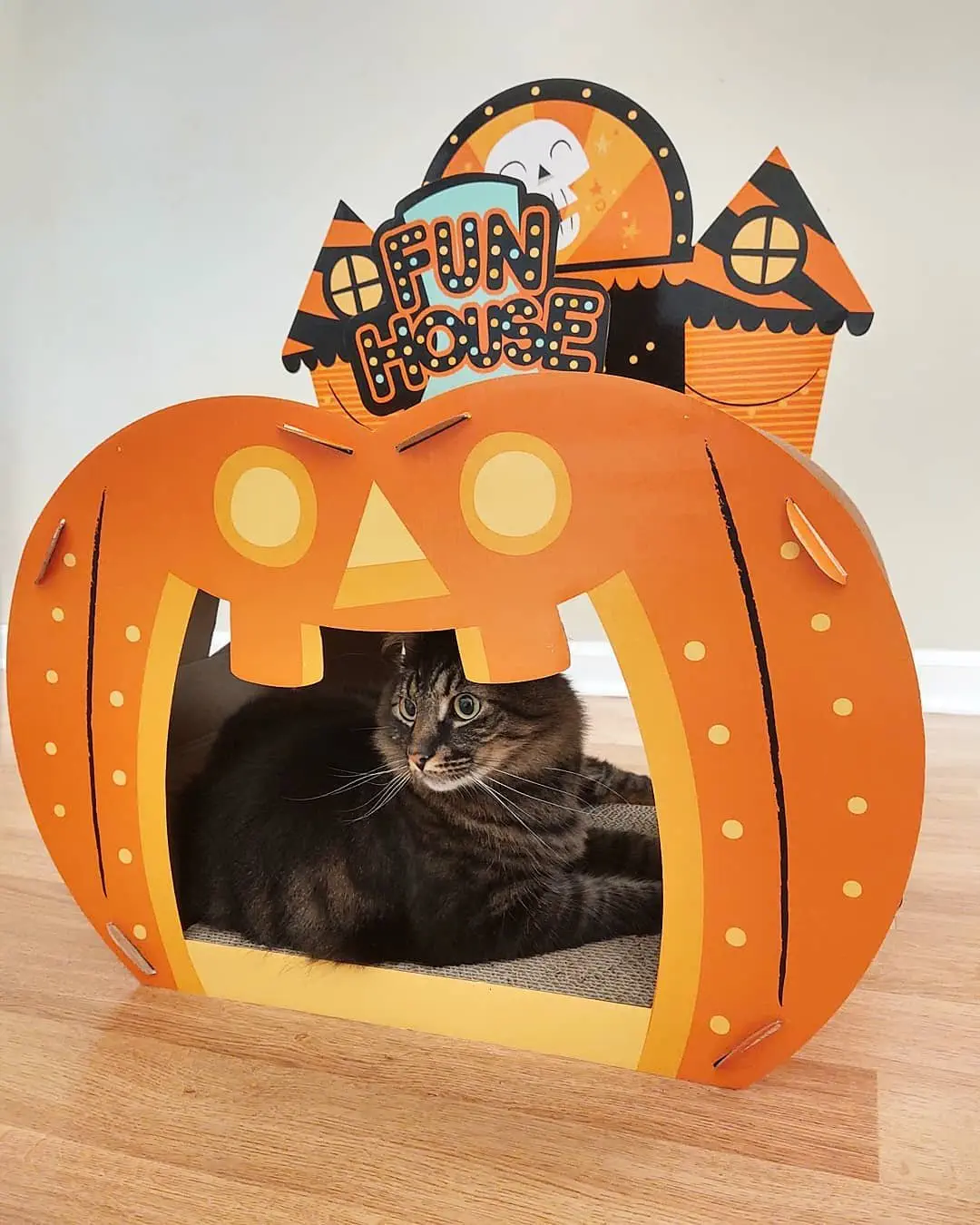 Image credit: Instagram | @hollyjollyjackolantern